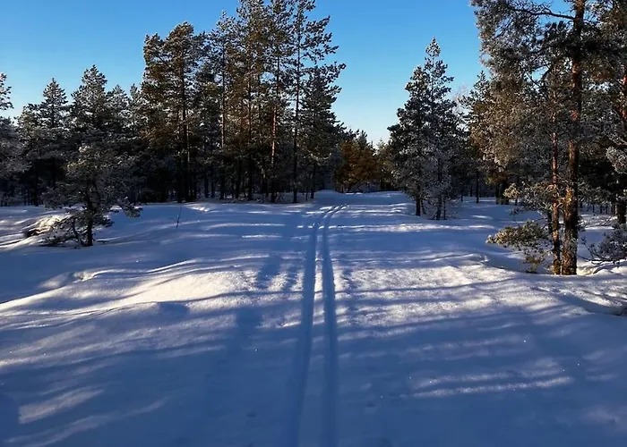 Hunurijaervi Resort*****