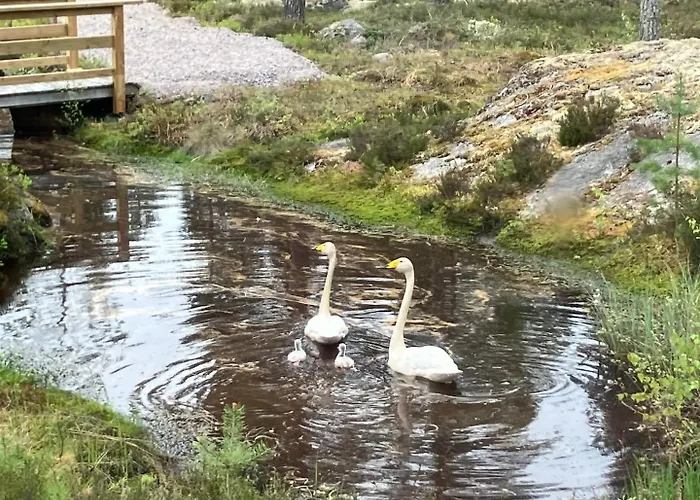 Hunurijaervi Resort***** Hotel